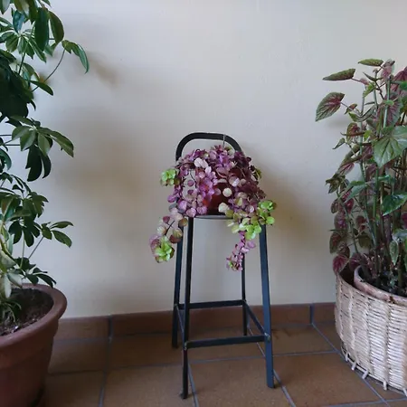Πανδοχείο El Jardin Σαντιγιάνα ντελ Μαρ