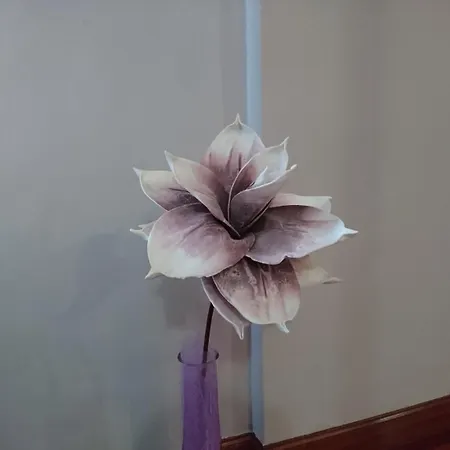 El Jardin 3* Сантильяна-дель-Мар