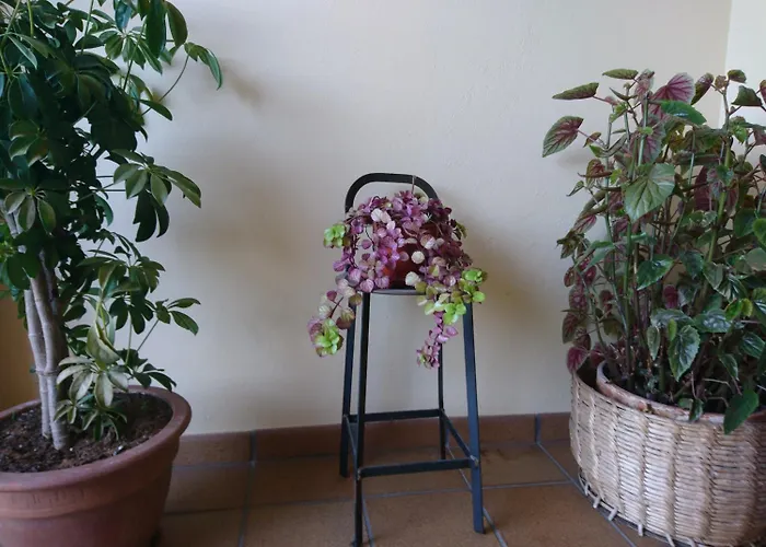 Inn El Jardin Santillana del Mar