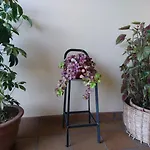 Inn El Jardin Santillana del Mar