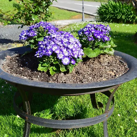 Han/Misafirhane El Jardin 3*