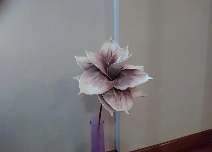 El Jardin 3* Santillana del Mar