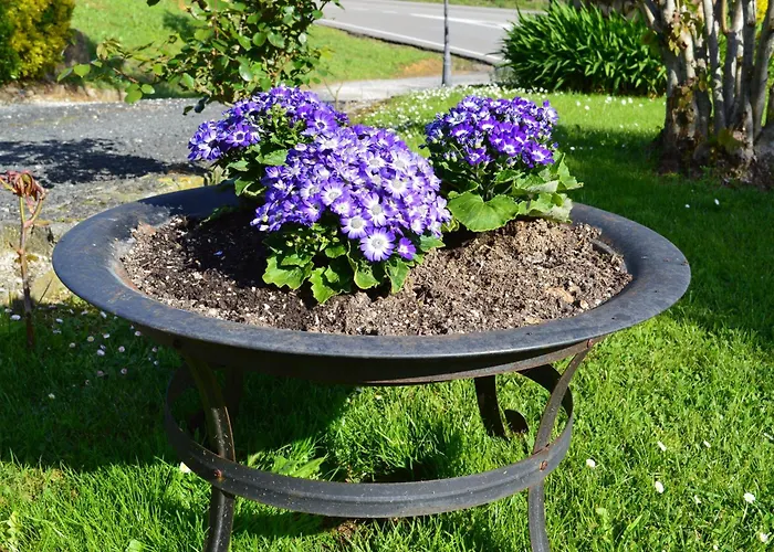 Värdshus El Jardin 3*